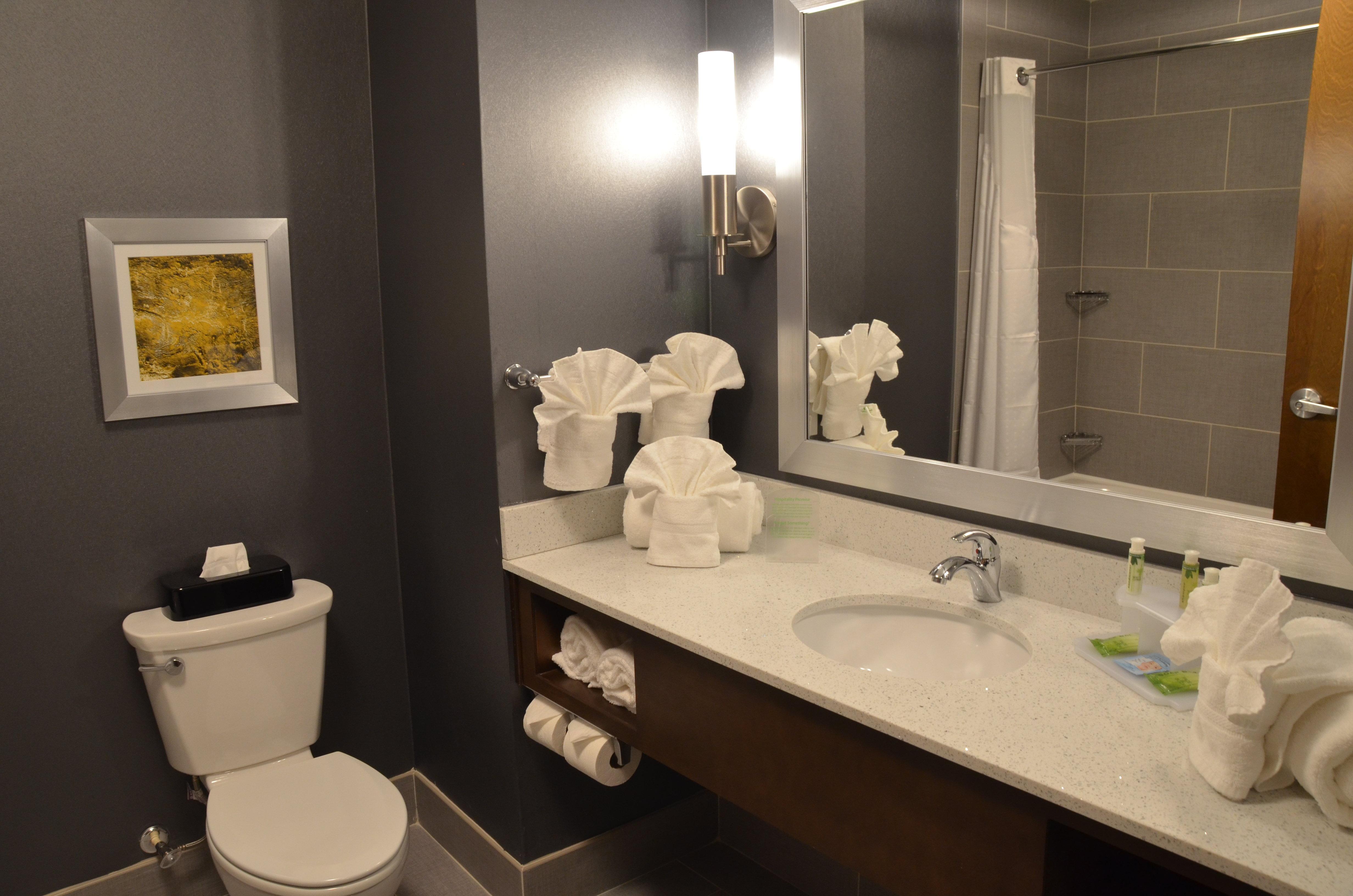 Holiday Inn Express & Suites Άλμπανι Εξωτερικό φωτογραφία